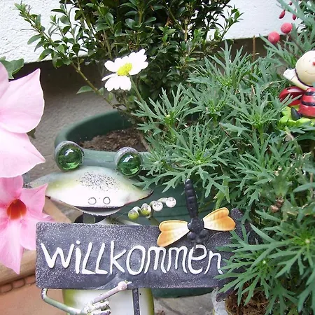 Haberfellner Guest house 4*