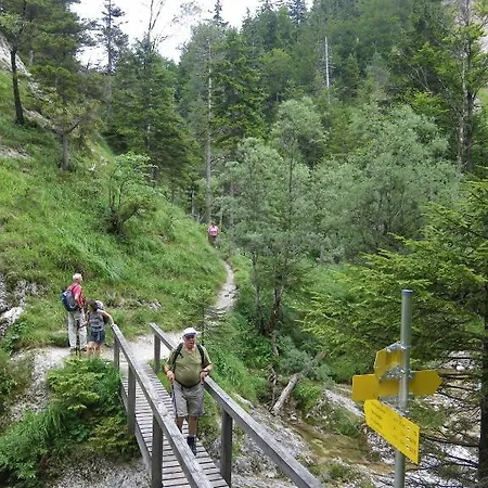 Haberfellner 4*